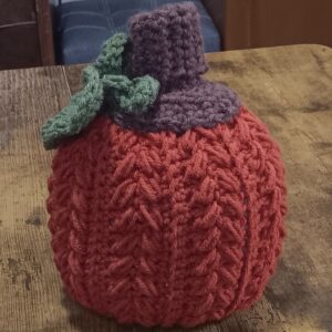 Pumpkin Decor / Squishy / Wheat stitch